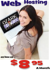 Web_Hosting_Sidebar2 ozark web design hosting sidebar