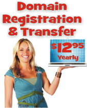 Domain_Sidebar_price_2 domain price 2
